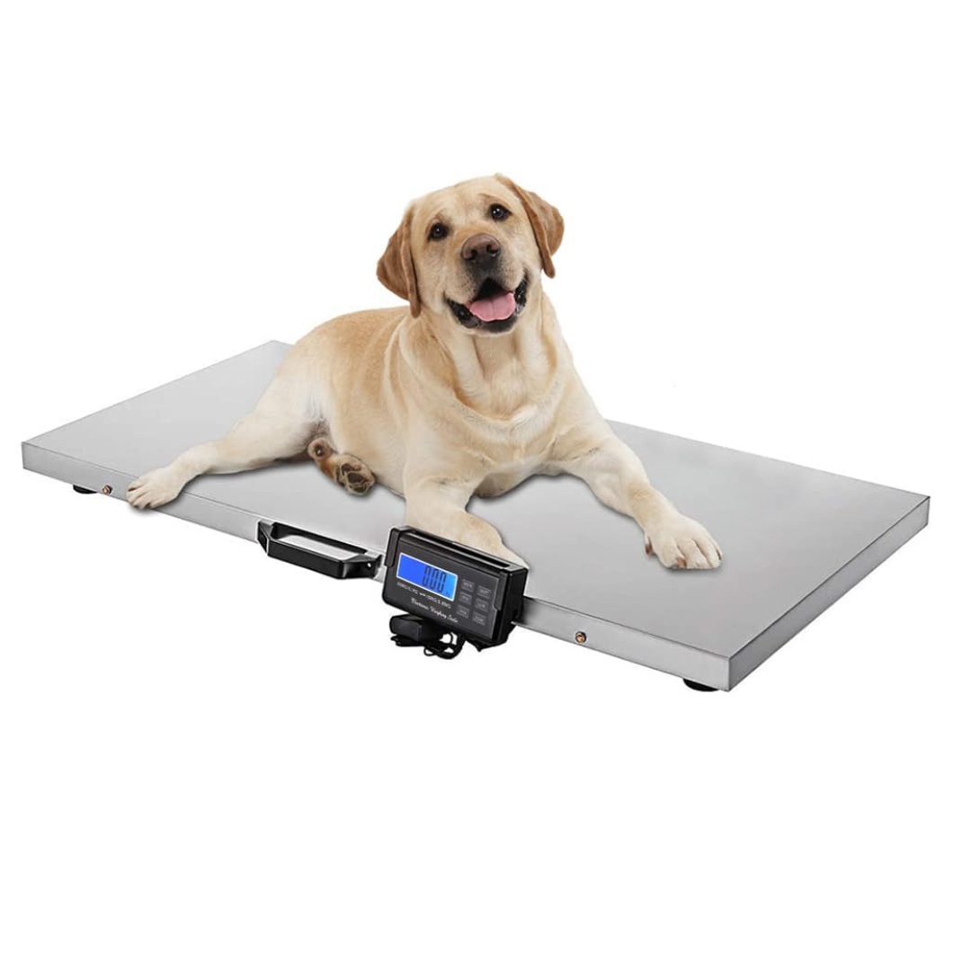 Dog Scale Digital Pet Scale for Dogs available in kampala - Awesome Sellers